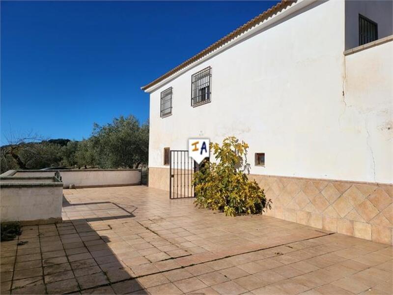 2 chambre Auberge à vendre