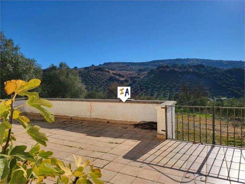 2 chambre Auberge à vendre