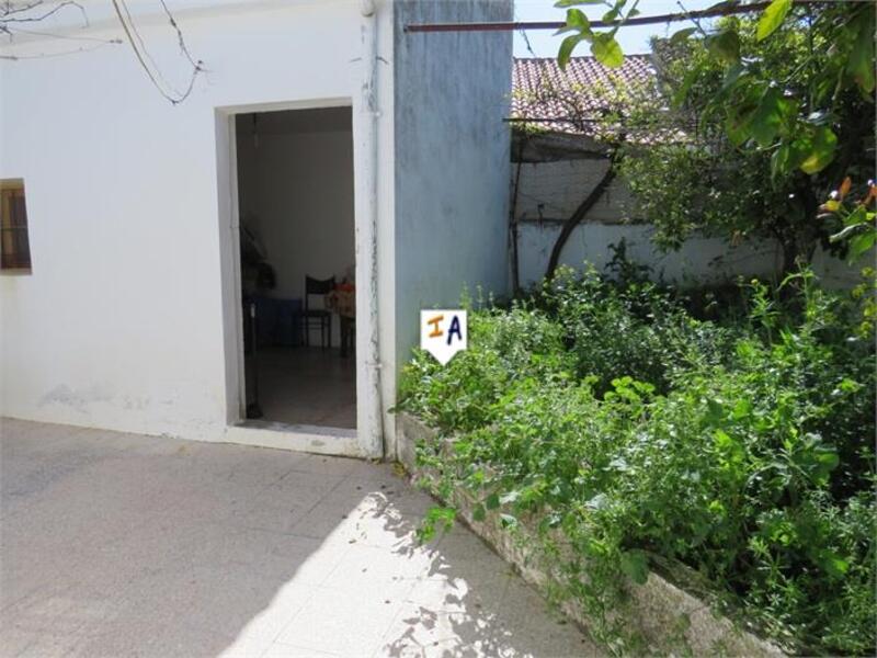 3 Cuarto Apartamento en venta