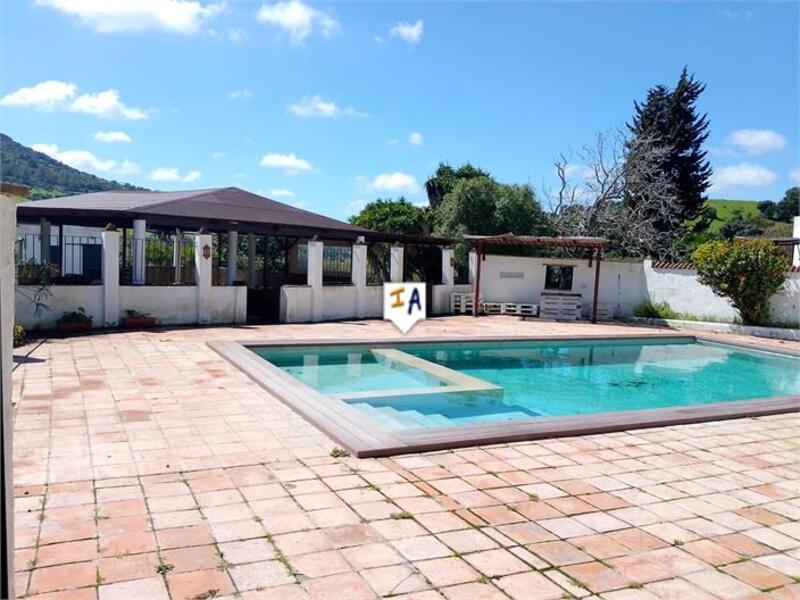 4 Cuarto Villa en venta
