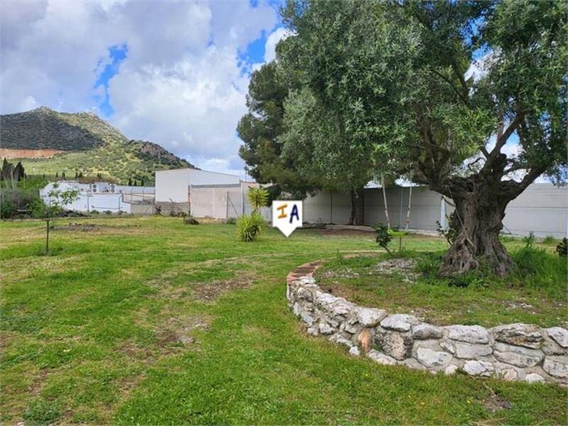 3 chambre Villa à vendre