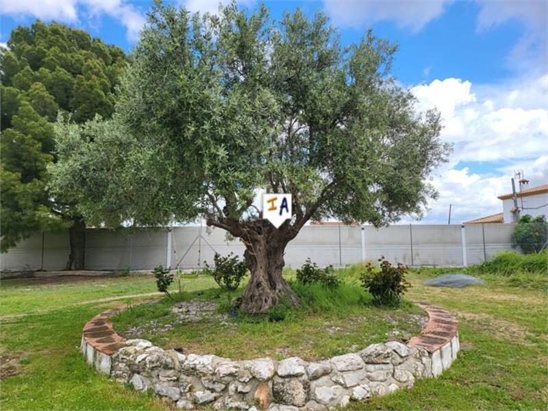 3 chambre Villa à vendre