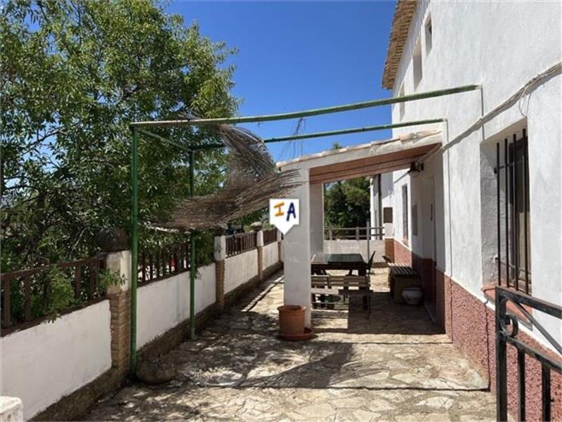 4 chambre Auberge à vendre