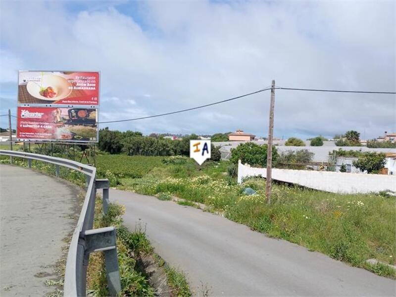 Land Te koop in Conil de la Frontera, Cádiz