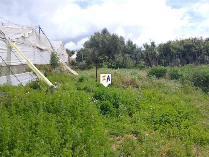 Land Te koop