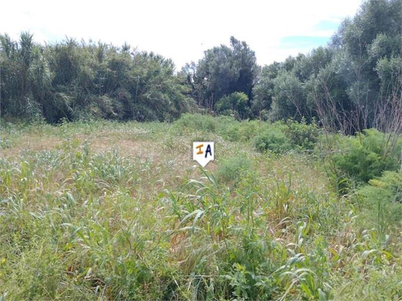 Land Te koop