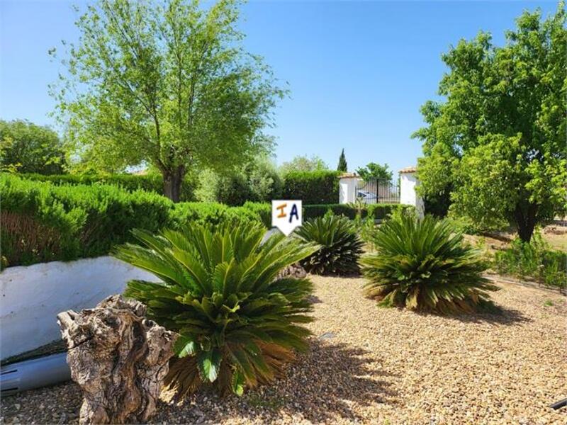 5 slaapkamer Villa Te koop
