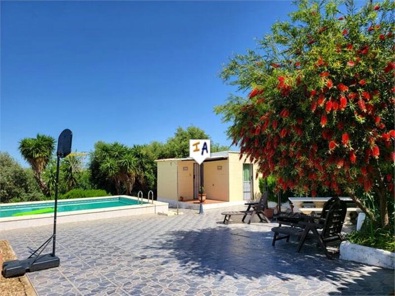 5 slaapkamer Villa Te koop