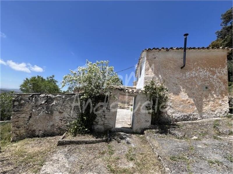 Landhaus zu verkaufen in Peñas de Majalcoron, Jaén