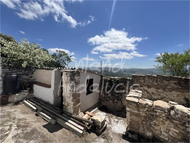 3 Cuarto Casa de Campo en venta