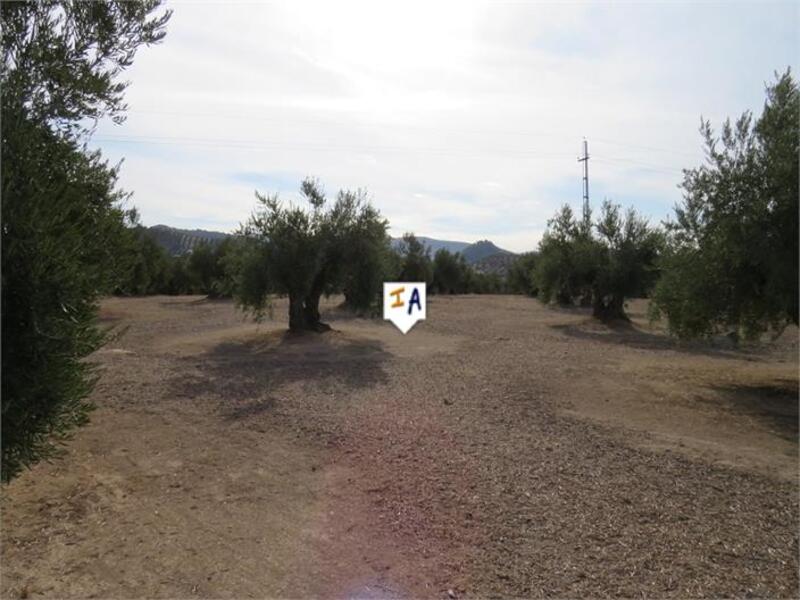 Land for sale