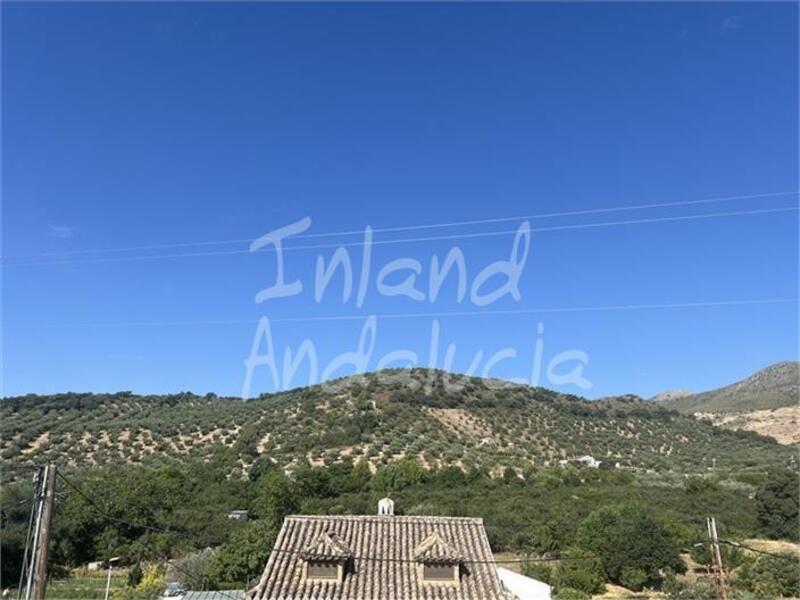 4 Cuarto Adosado en venta