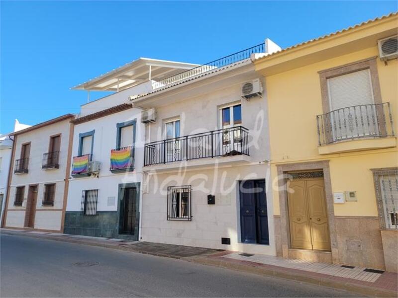 Maison de Ville à vendre dans Alameda, Málaga
