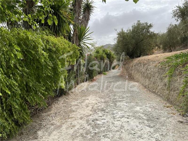 4 Cuarto Casa de Campo en venta