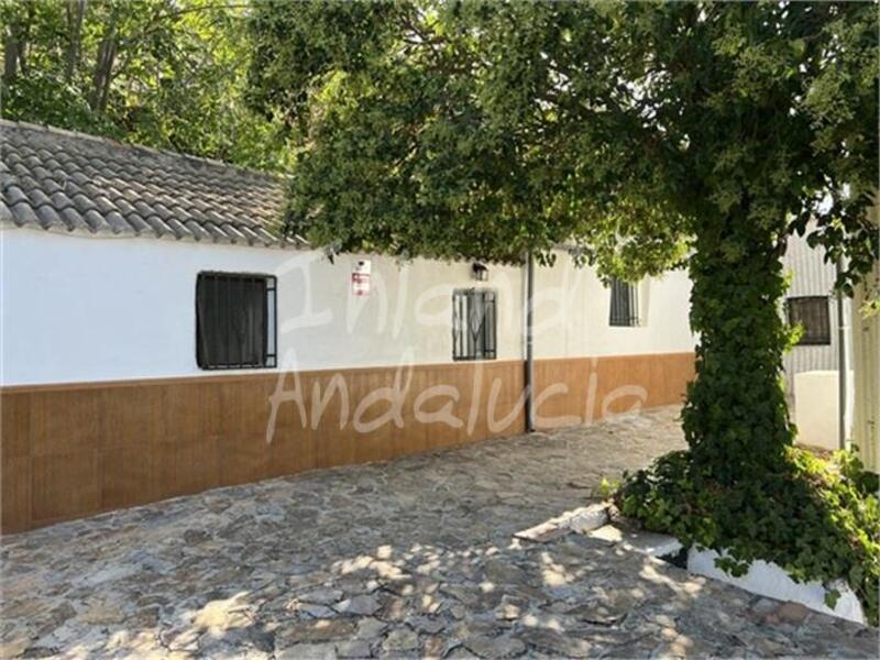 4 slaapkamer Gezinswoning Te koop