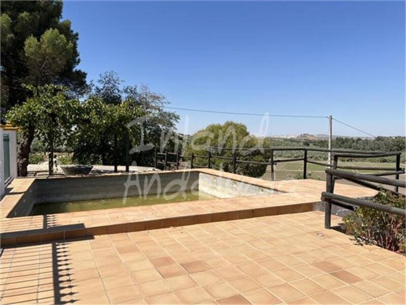 5 Cuarto Casa de Campo en venta