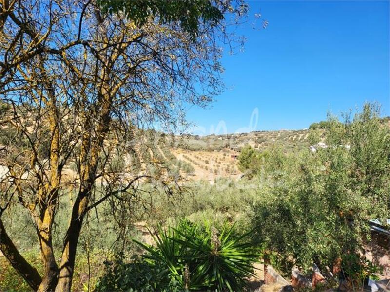 4 bedroom Country House for sale