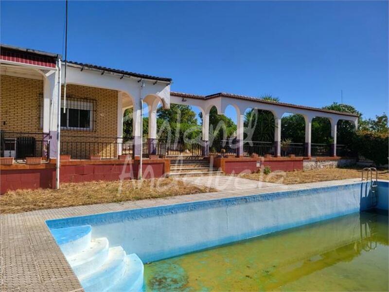3 chambre Villa à vendre