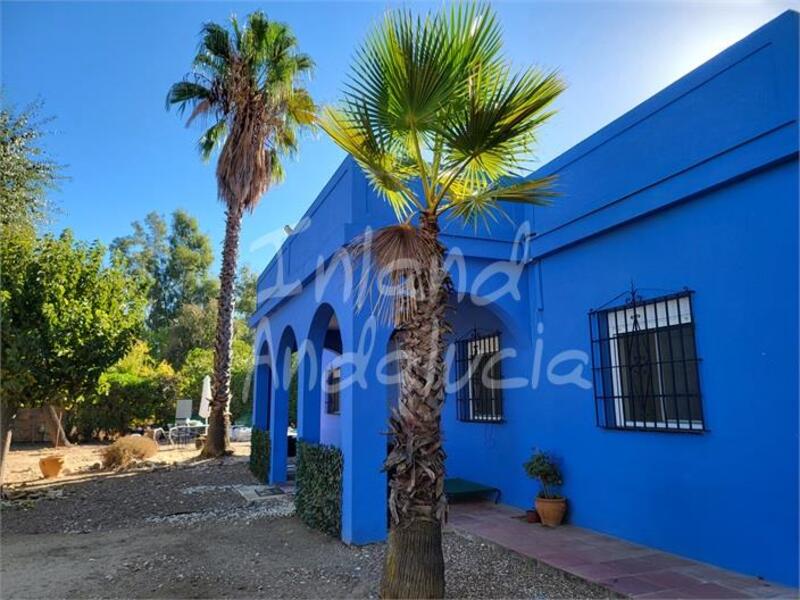 Villa for sale in Marchena, Sevilla