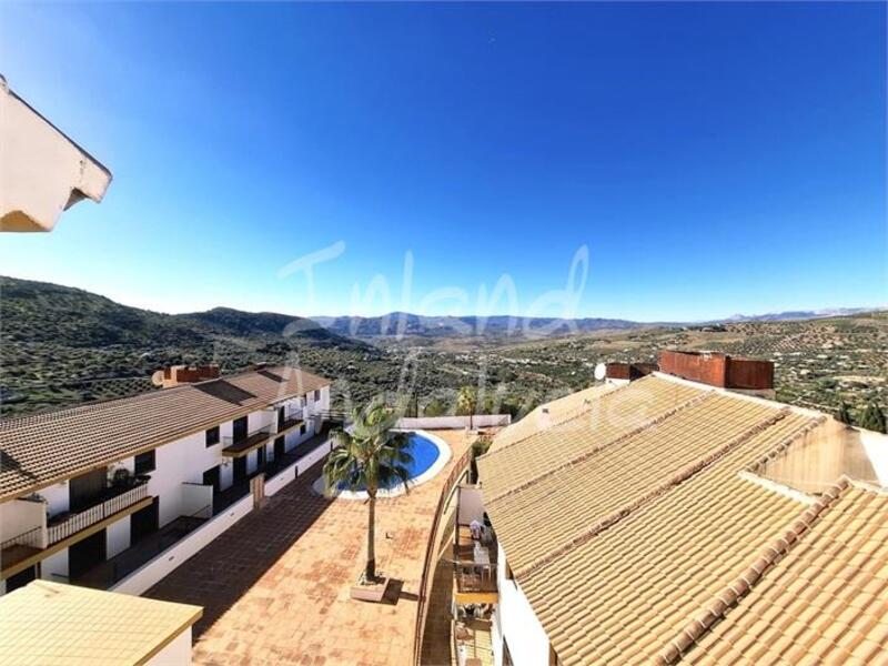 Apartment for sale in Alcaucin, Málaga