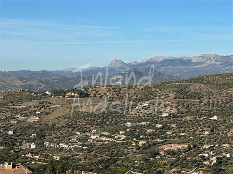 1 soverom Leilighet til salgs 1 soverom Leilighet til salgs