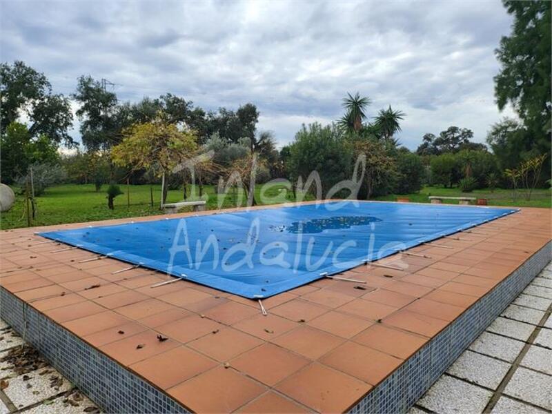 3 спальная комната вилла продается