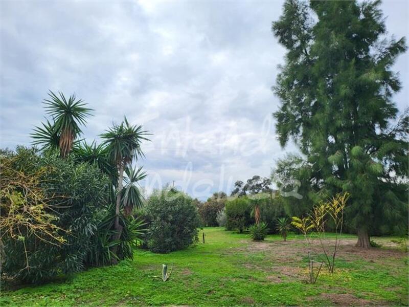 3 спальная комната вилла продается