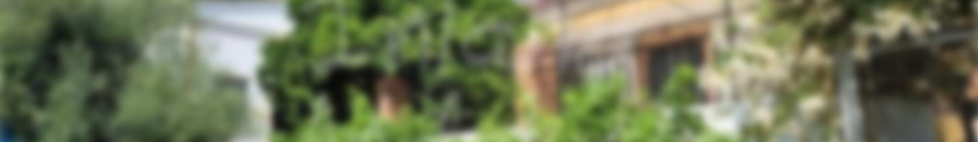 4 chambre Auberge à vendre