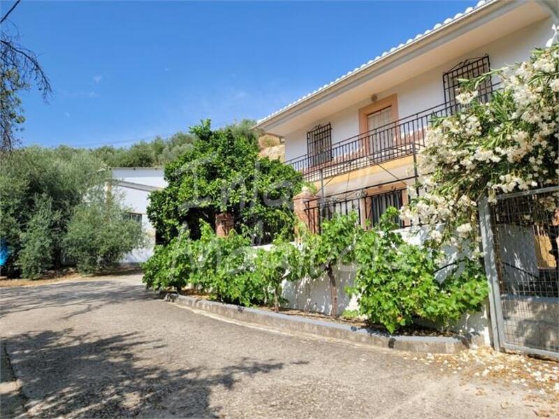 Auberge à vendre dans Iznajar, Córdoba