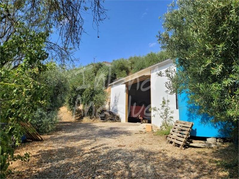 4 chambre Auberge à vendre