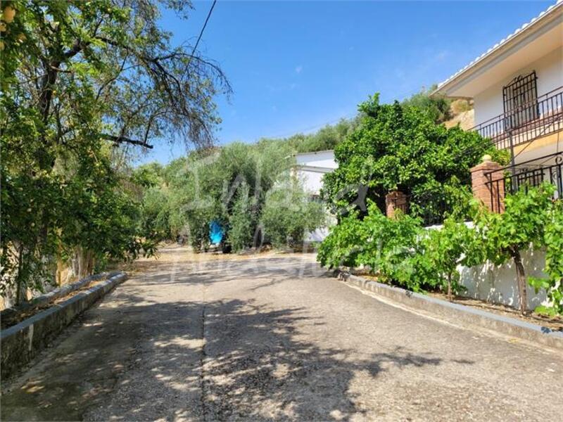 4 chambre Auberge à vendre