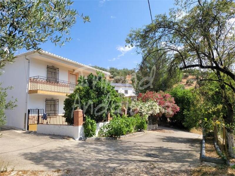 4 chambre Auberge à vendre