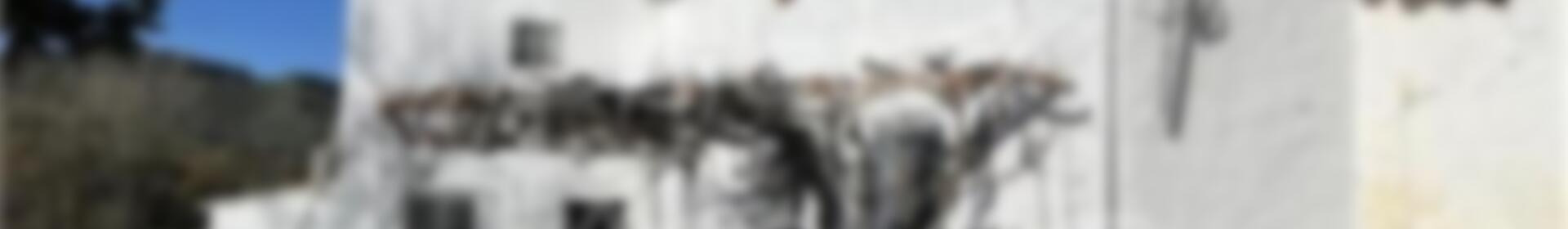 5 chambre Auberge à vendre