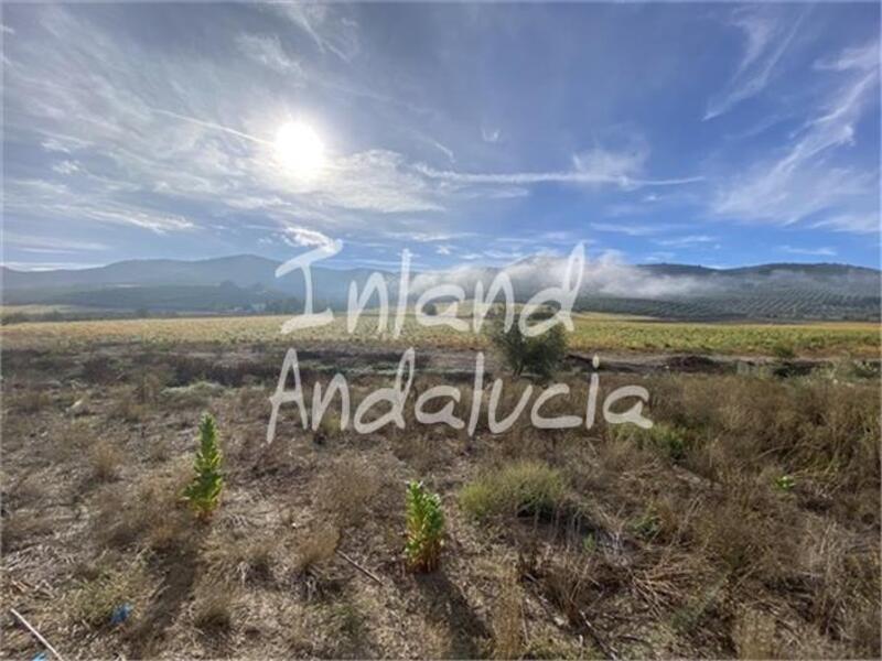 4 chambre Local Commercial à vendre