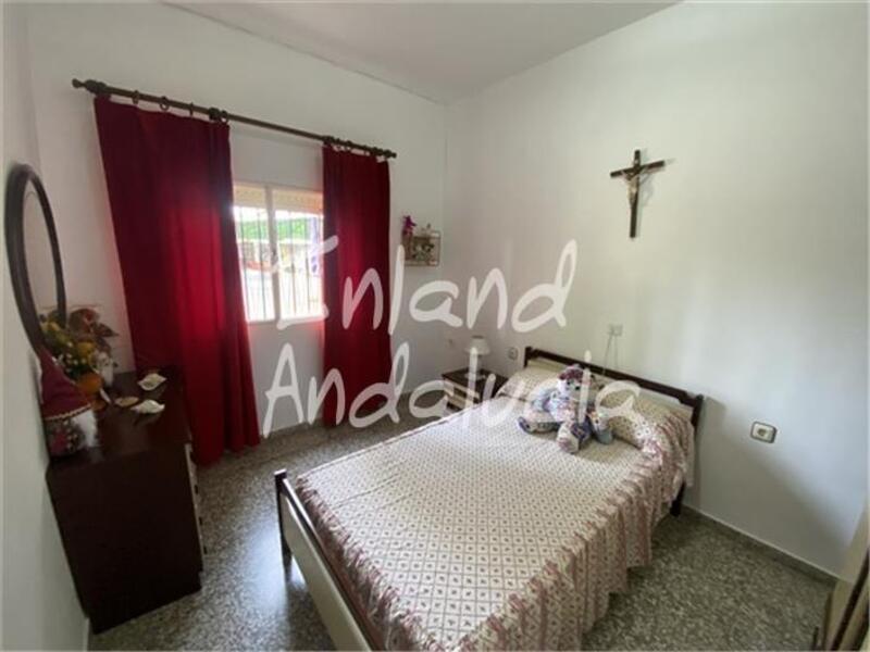 4 chambre Local Commercial à vendre