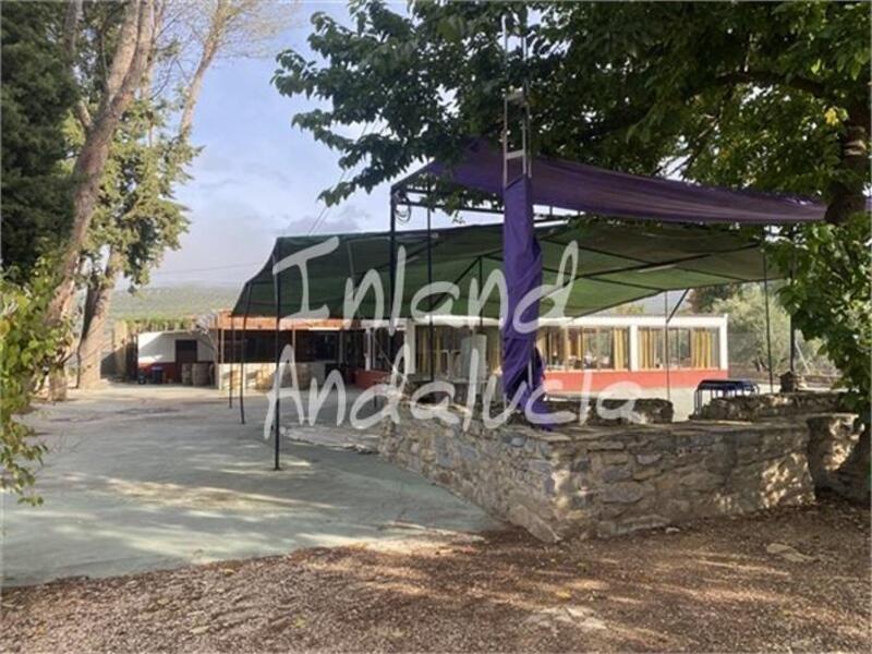 4 chambre Local Commercial à vendre