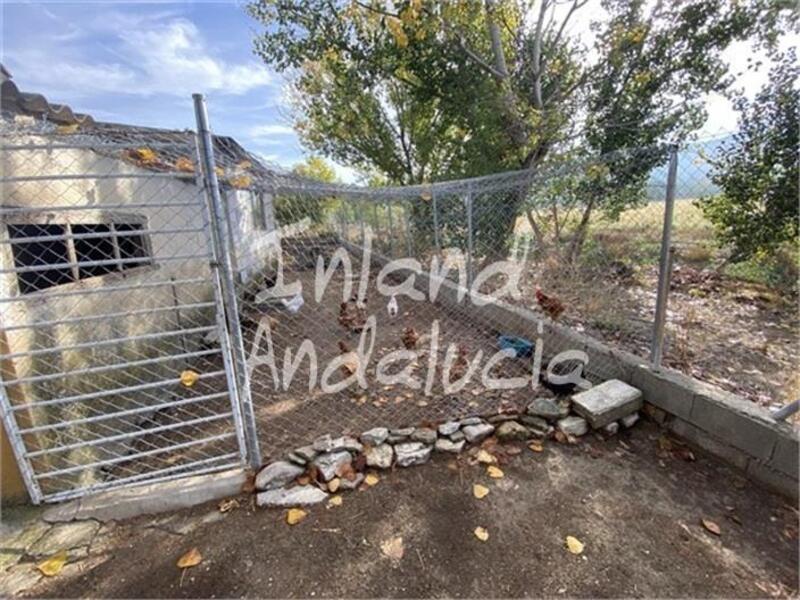 4 chambre Local Commercial à vendre