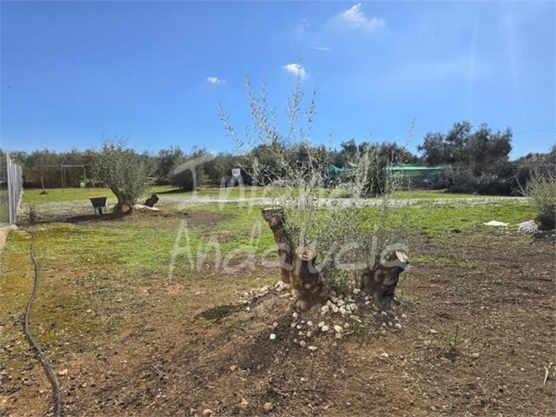 Land for sale