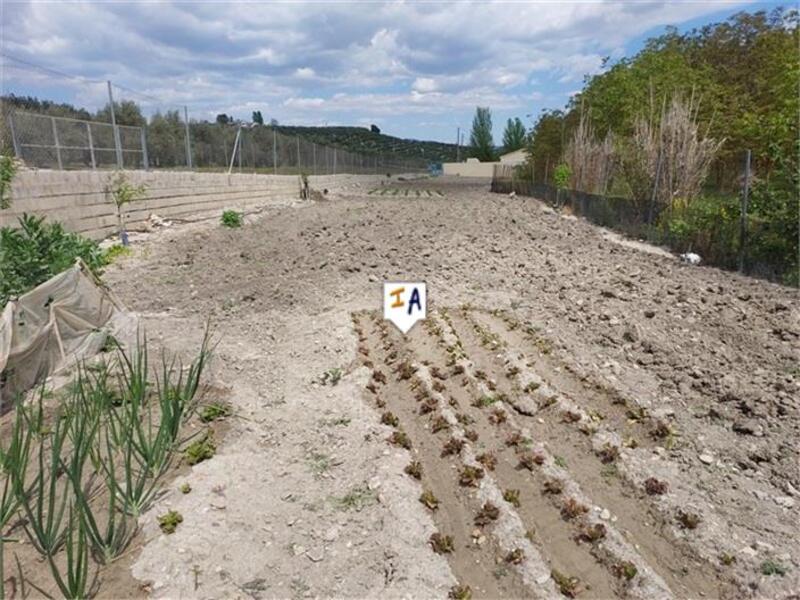 Land Te koop in Alcala la Real, Jaén
