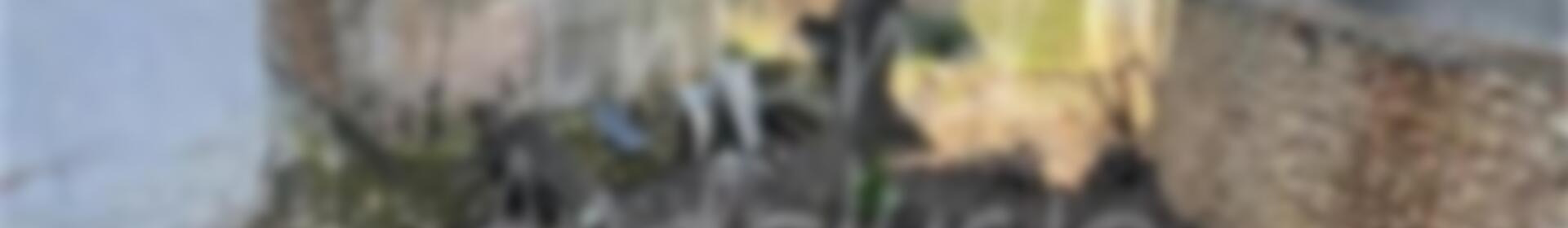 4 спальная комната городская тюрьма продается