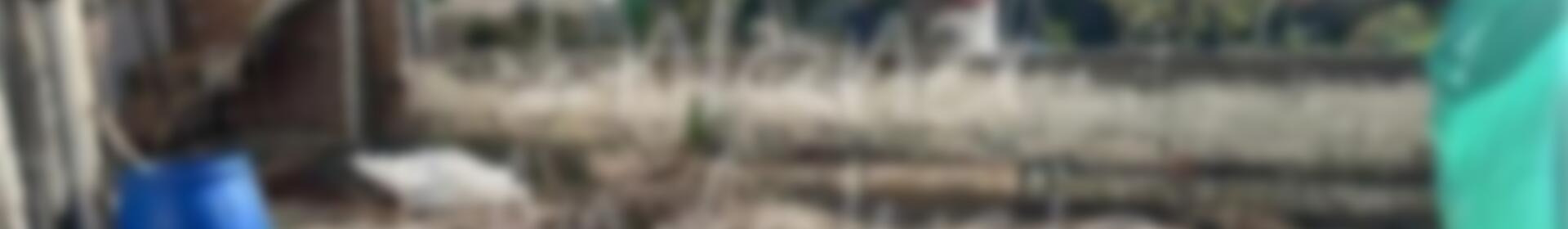 4 soveværelse Byhus til salg