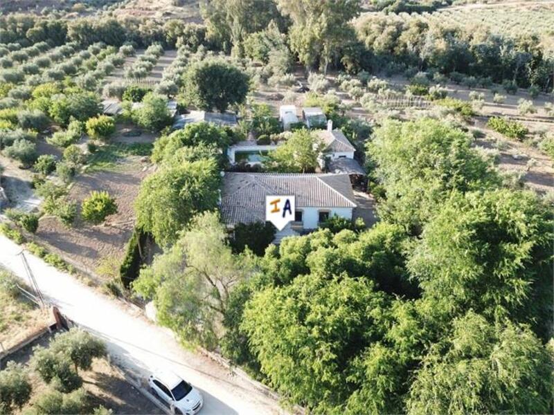 Auberge à vendre dans Baena, Córdoba