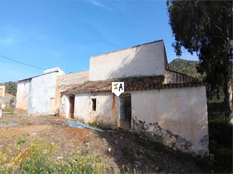 Terrenos en venta