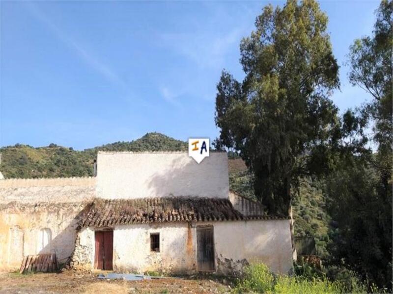 Terrenos en venta