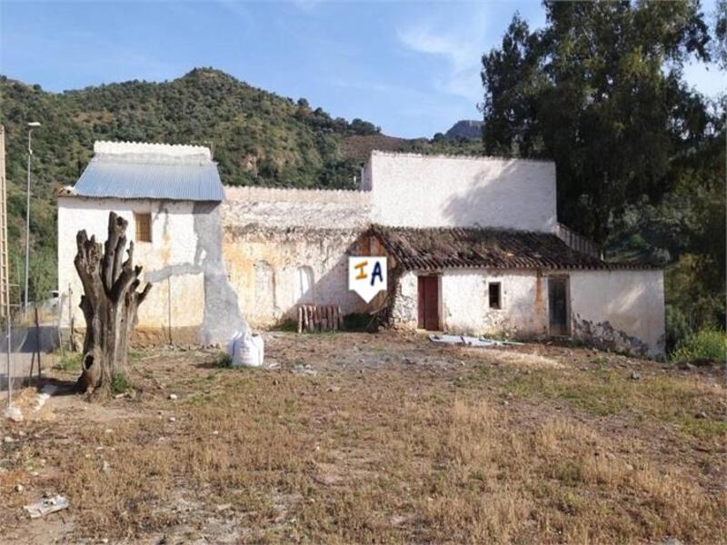 Terrenos en venta