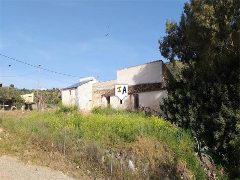 Terrenos en venta