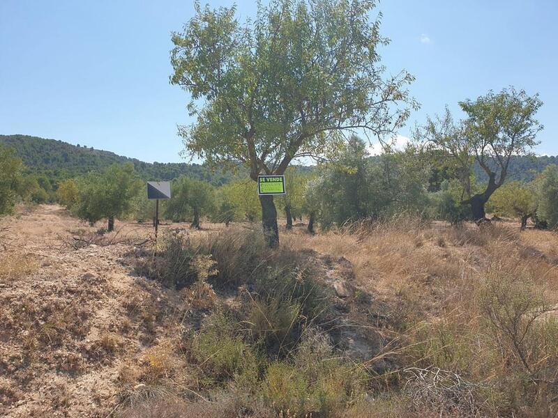 Land for sale in Biar, Alicante