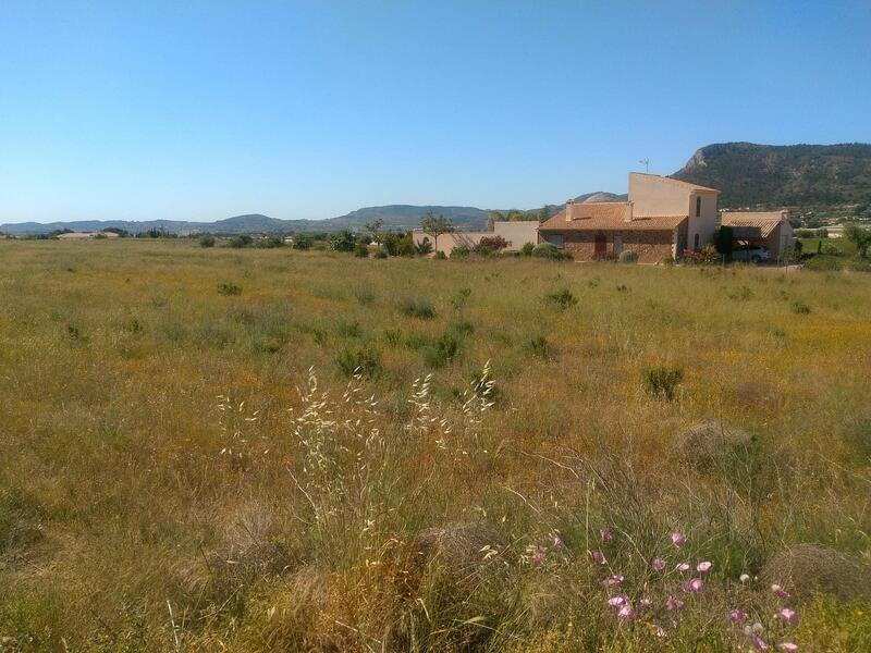 Land for sale in Aspe, Alicante