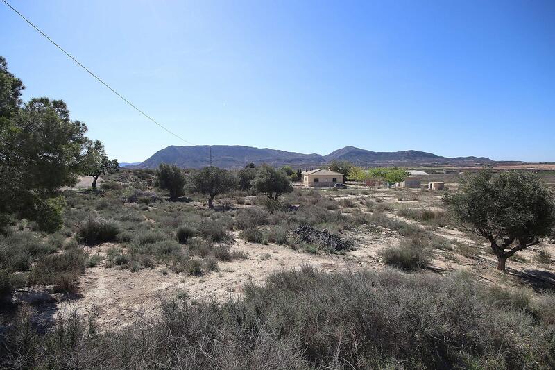 Land for sale in Agost, Alicante