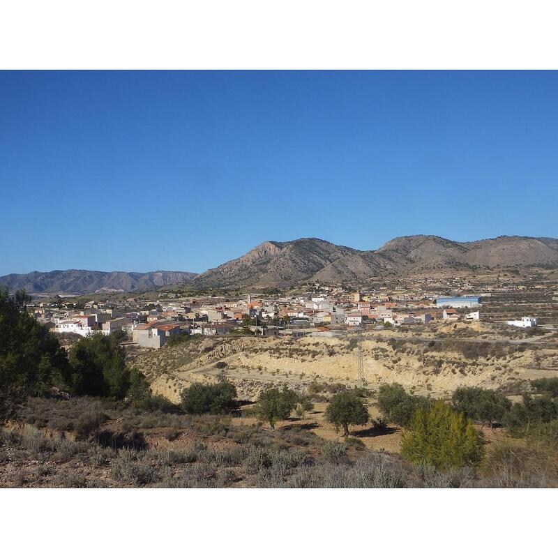 Land for sale in La Zarza de Abanilla, Alicante